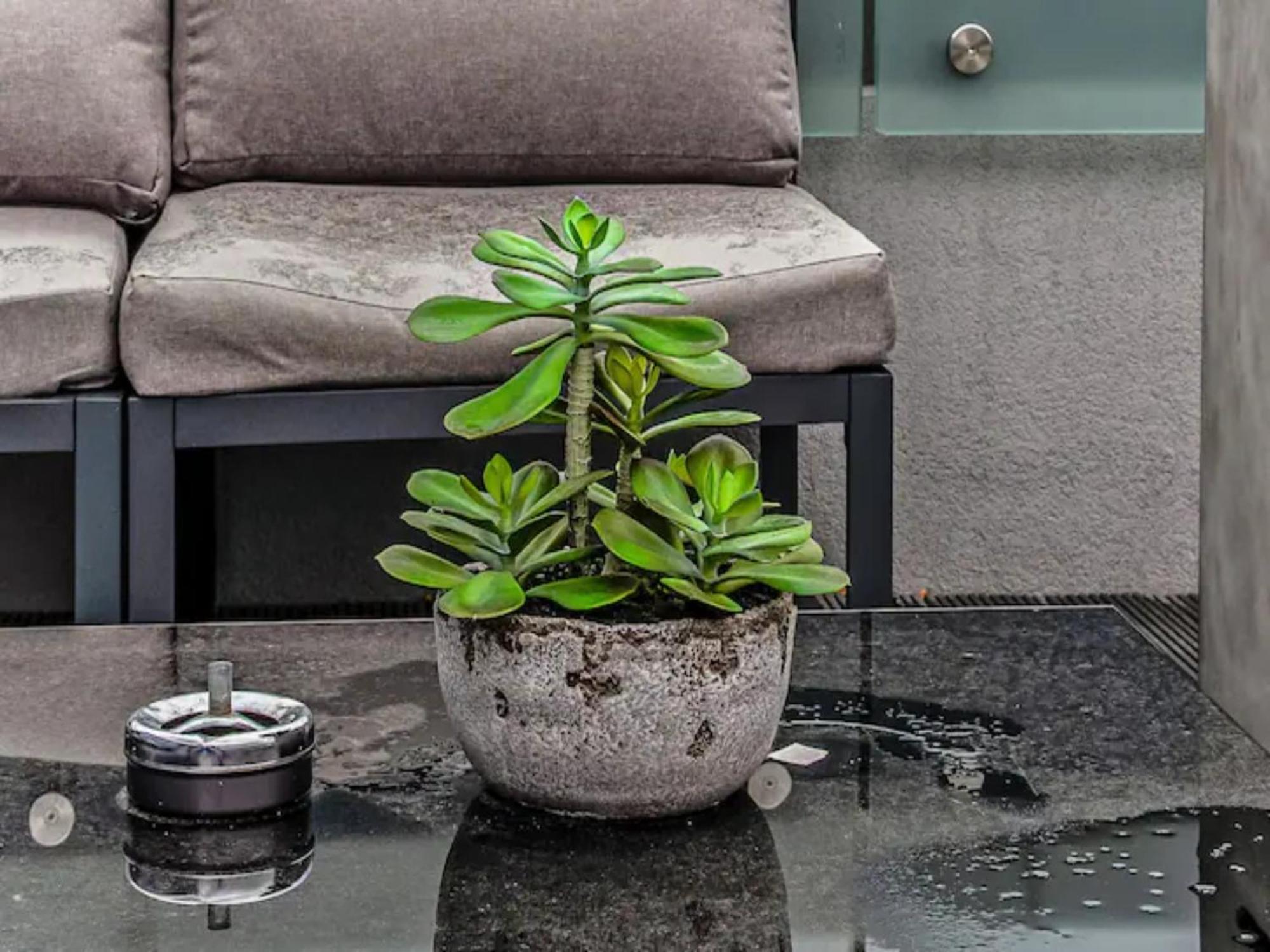 Appartamento Pass The Keys Penthouse Oasis In Trendy Fulham Londra Esterno foto